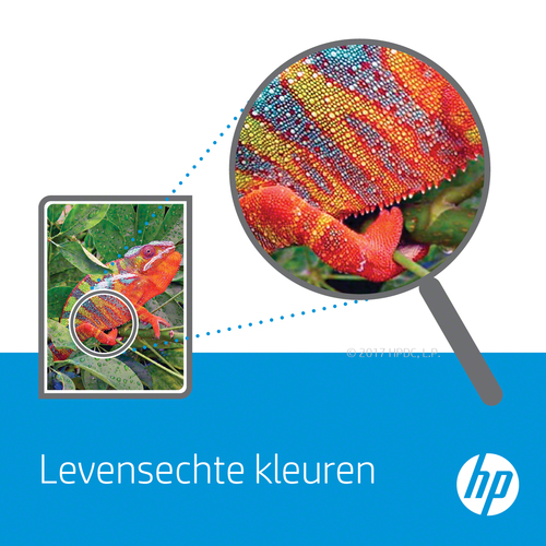 HP C9704A drum origineel - Afbeelding 5