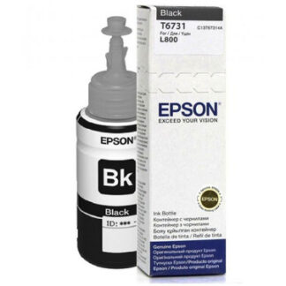 Epson C13T67314A, T6731 inkt cartridge origineel